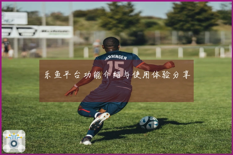 乐鱼平台功能介绍与使用体验分享
