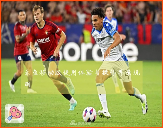 乐鱼移动版使用体验与操作界面说明