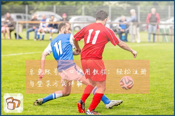 乐鱼账号入口使用教程:轻松注册与登录方式详解