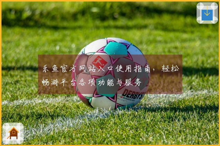 乐鱼官方网站入口使用指南,轻松畅游平台各项功能与服务