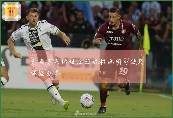 乐鱼官网地址注册流程说明与使用体验分享
